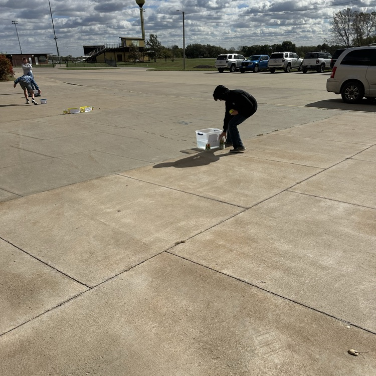 photosynthesis relay race