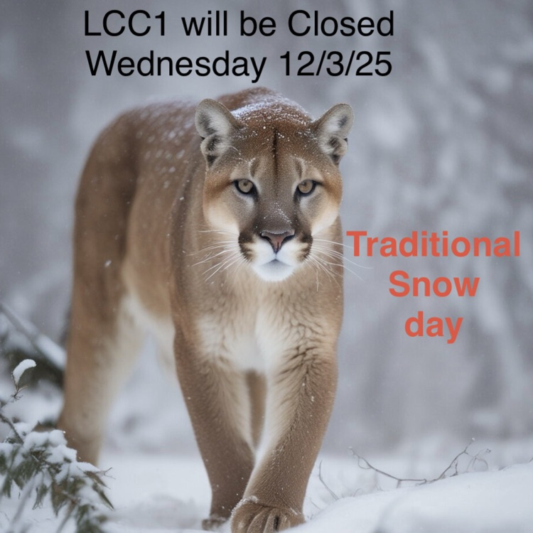 Cougar walking icy conditions - LCC1 closed tomorrow 12/3/25 as a traditional snow day.