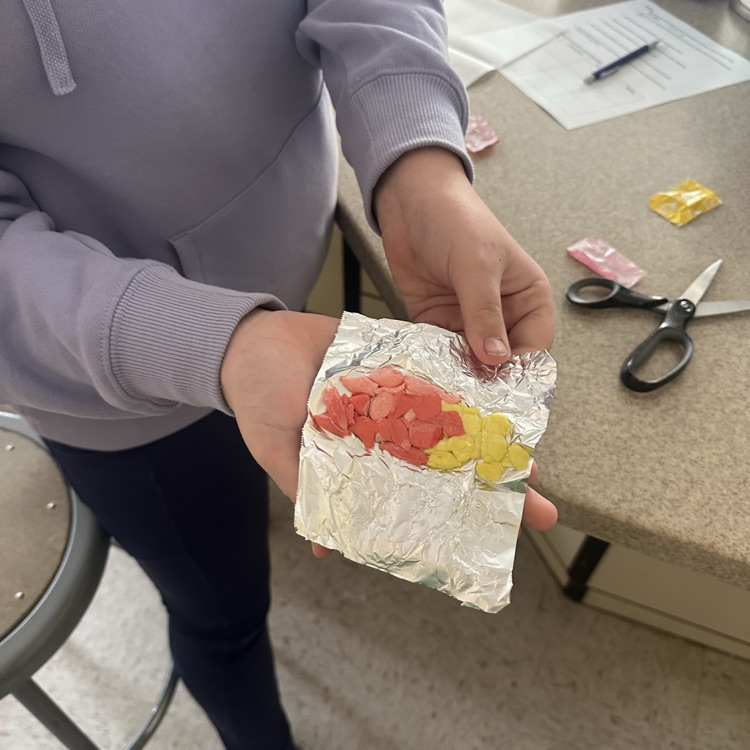 student working on starburst rock cycle lab