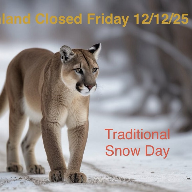 image of a Cougar walking in ice and snow with the announcement that Highland will be closed Friday 12/12/25 for a traditional snow day