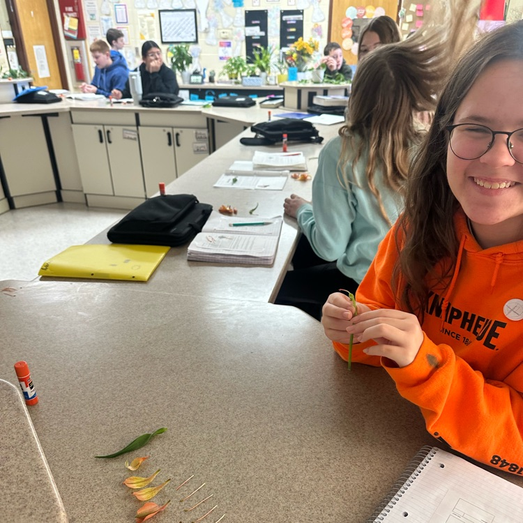 students conducting flower dissection 