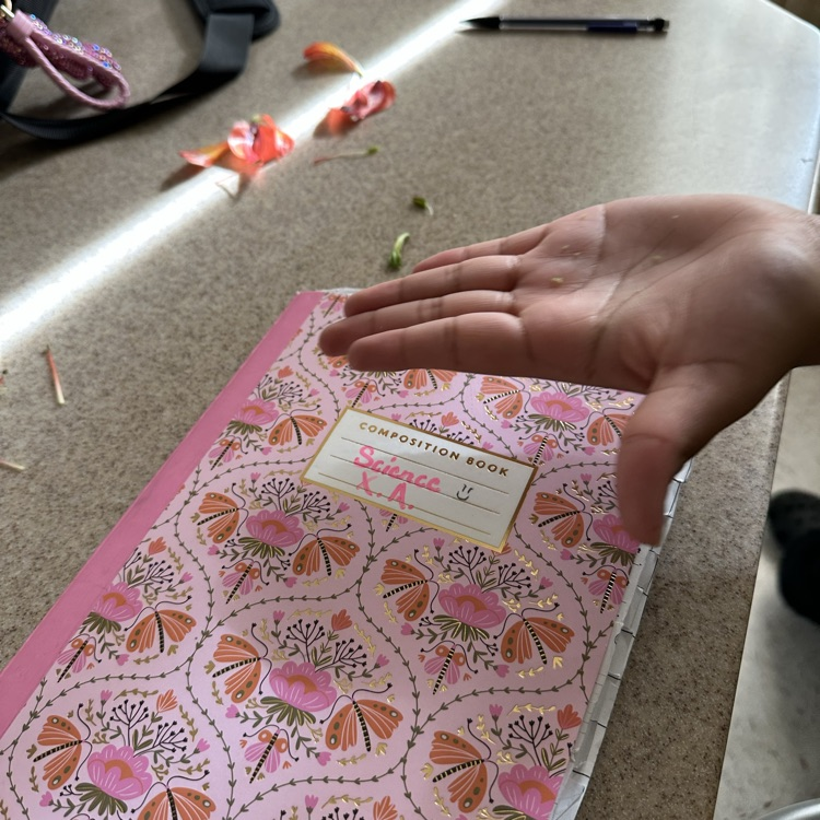 students conducting flower dissection 