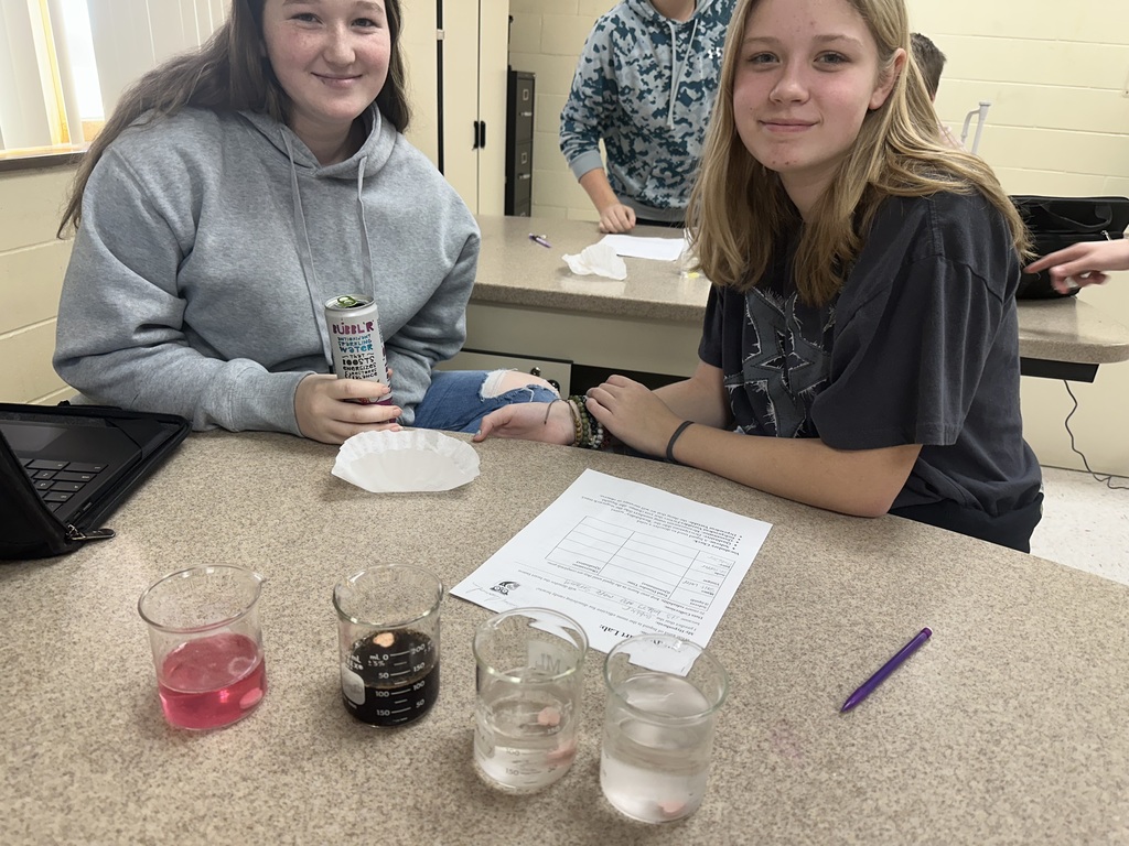 Students testing how fast candy hearts dissolve in various liquids