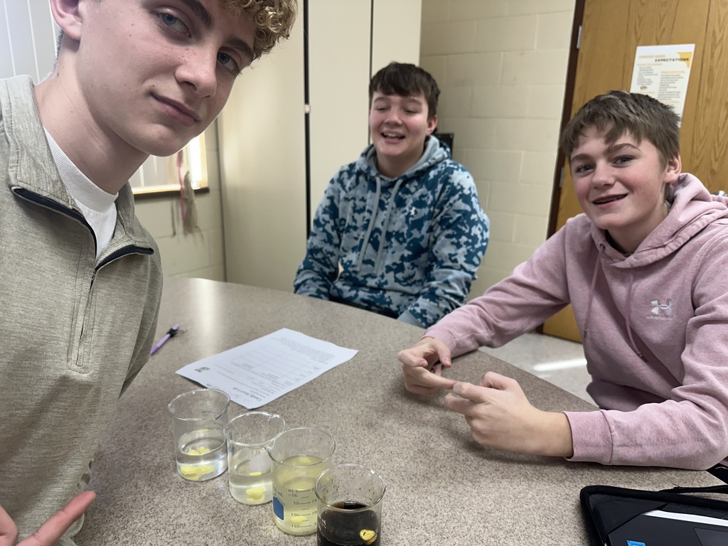 Students testing how fast candy hearts dissolve in various liquids