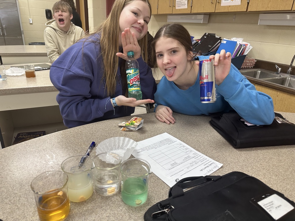 Students testing how fast candy hearts dissolve in various liquids