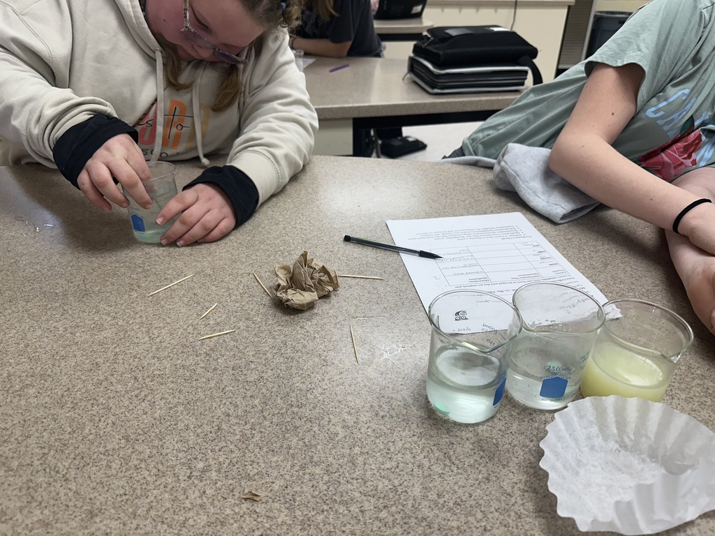 Students testing how fast candy hearts dissolve in various liquids