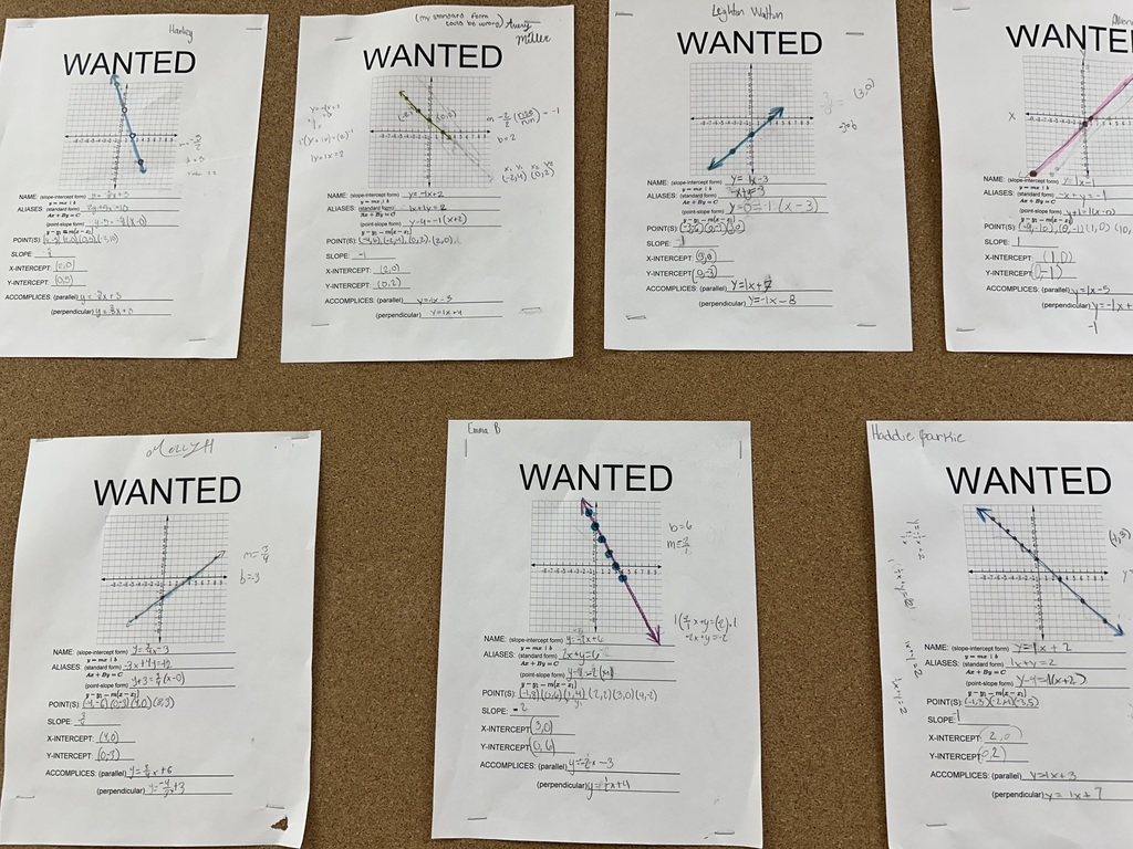 Algebra's Most Wanted: Wanted posters of lines that students created