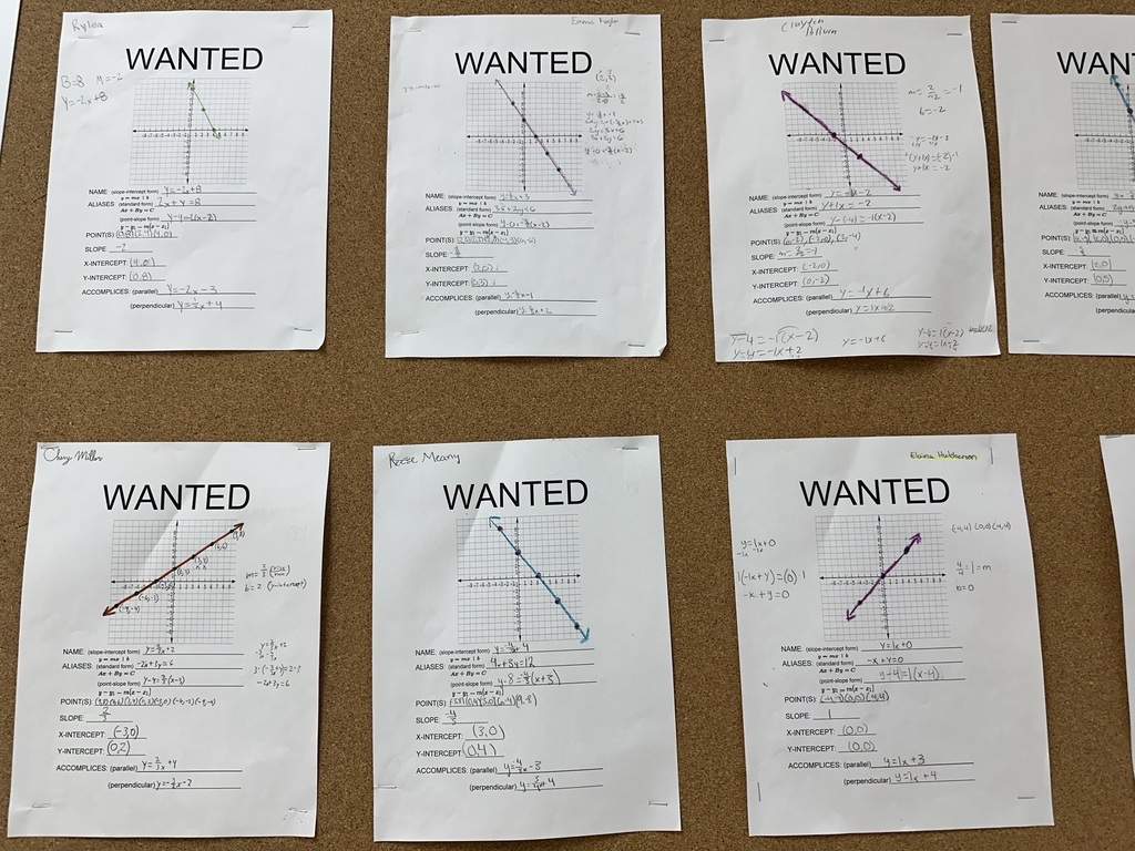 Algebra's Most Wanted: Wanted posters of lines that students created