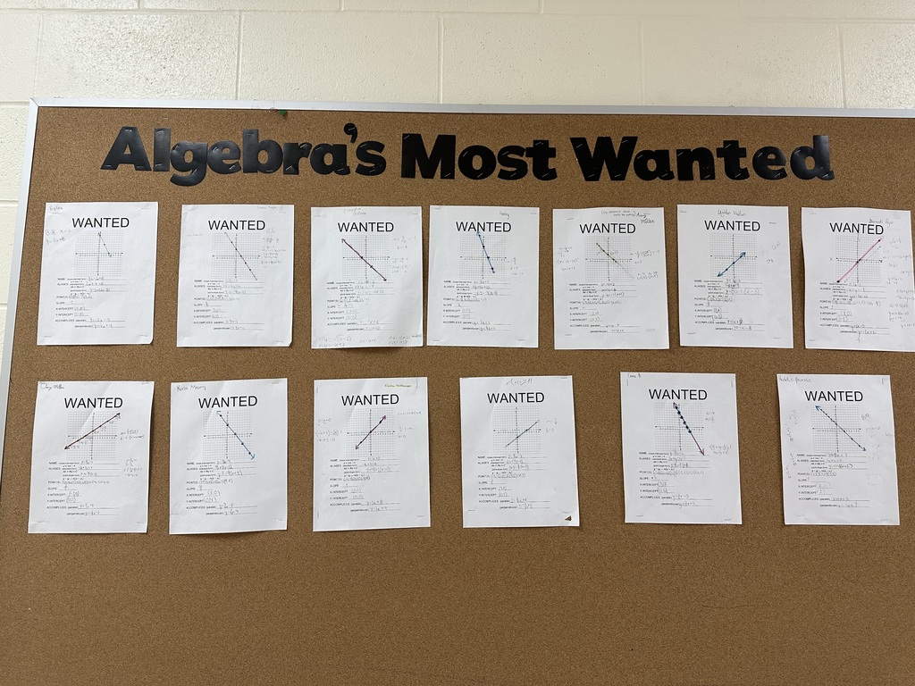 Algebra's Most Wanted: Wanted posters of lines that students created