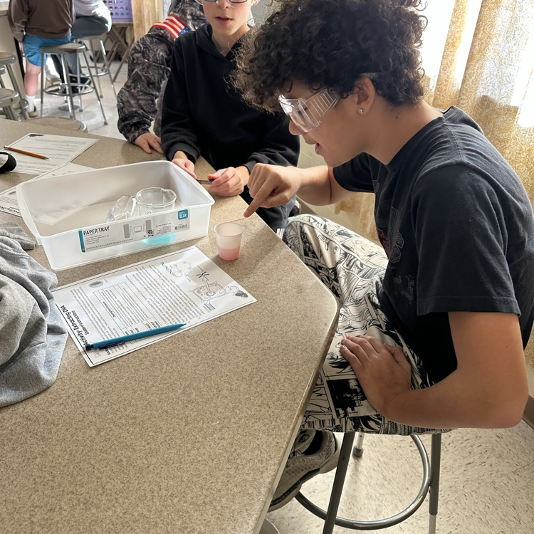 students conducting dna extraction lab