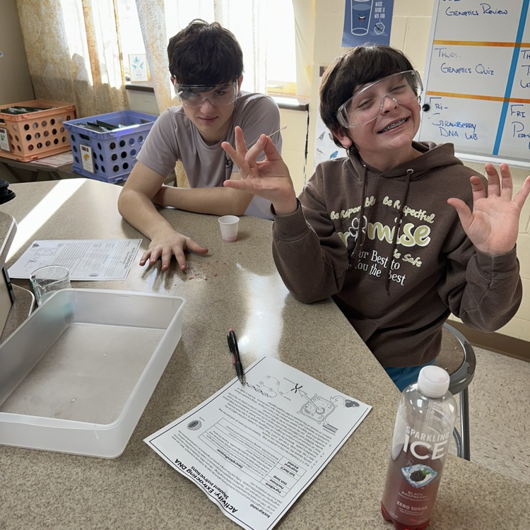 students conducting dna extraction lab