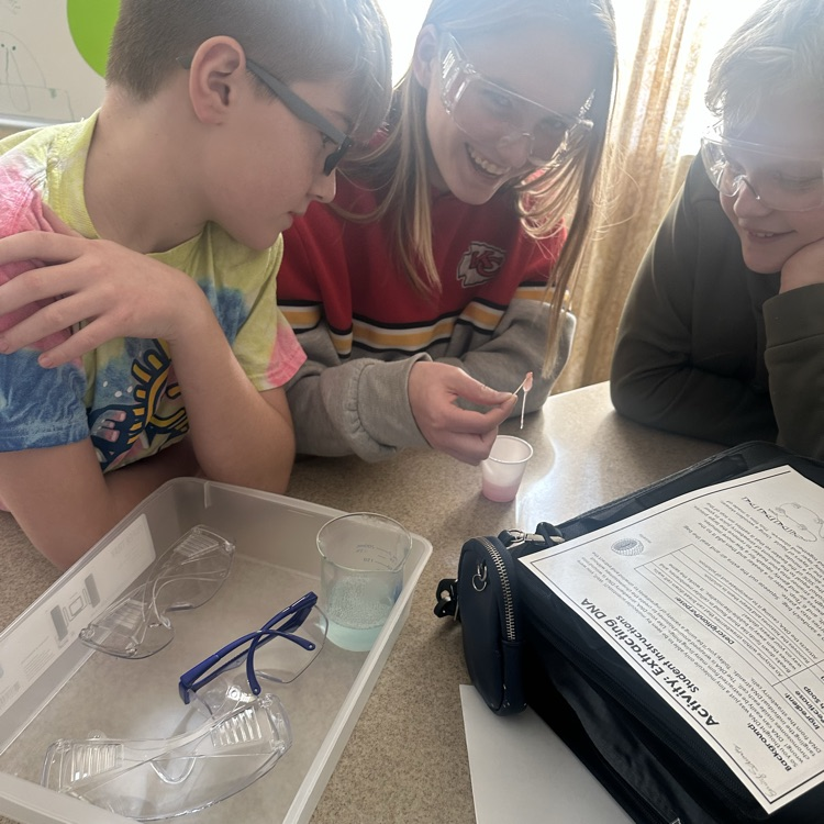 students conducting dna extraction lab