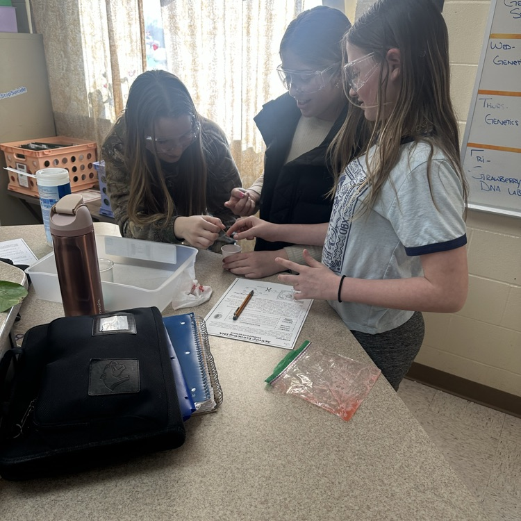 students conducting dna extraction lab