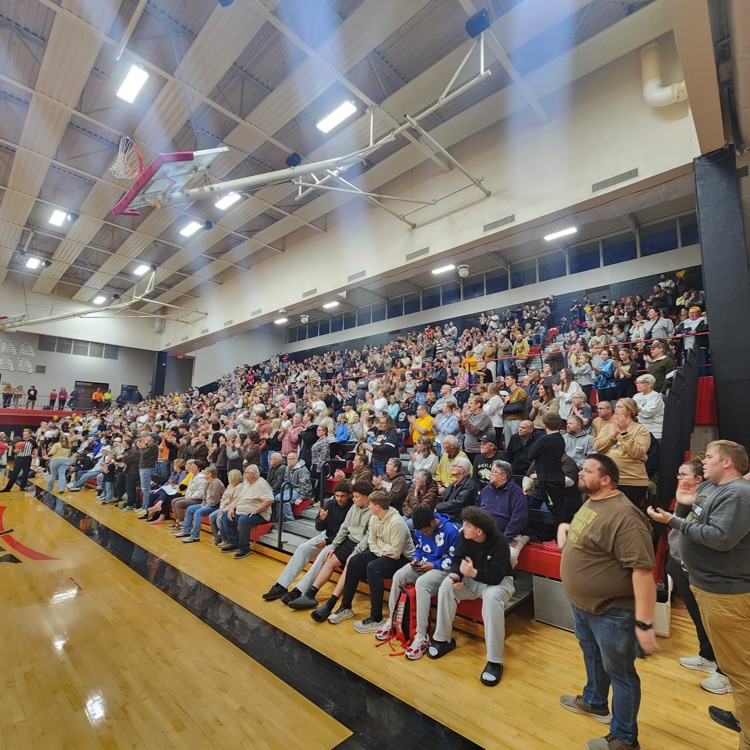 image of the crowd in attendance to root on the Lady Cougars