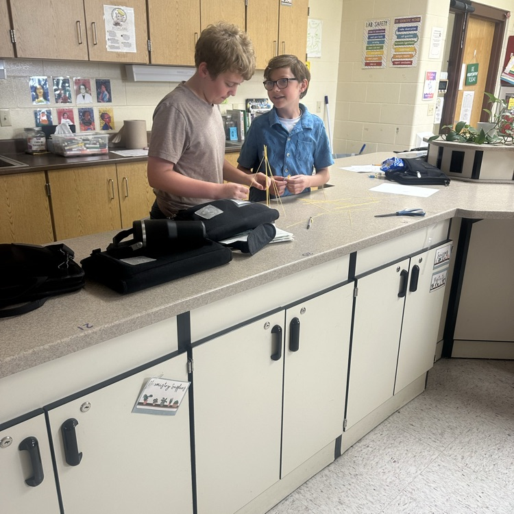 stem challenge in science