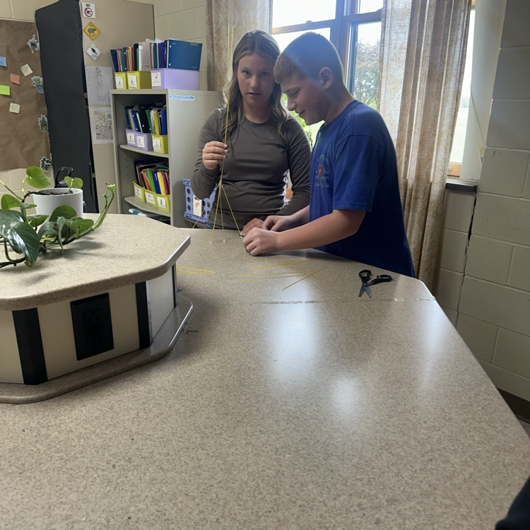 stem challenge in science