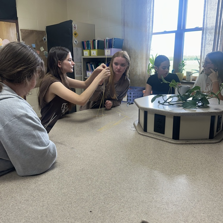 stem challenge in science