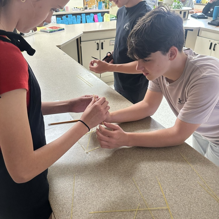 stem challenge in science