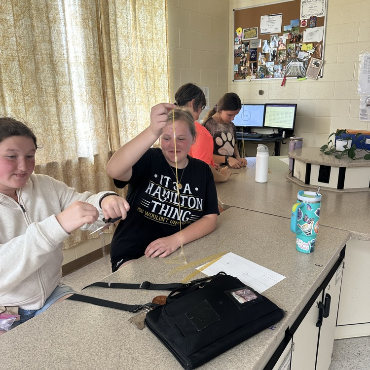 stem challenge in science