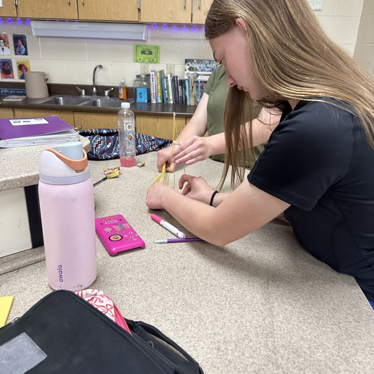 stem challenge in science