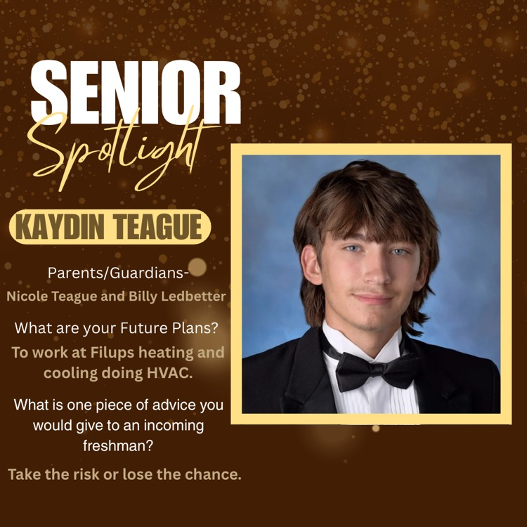 Kaydin