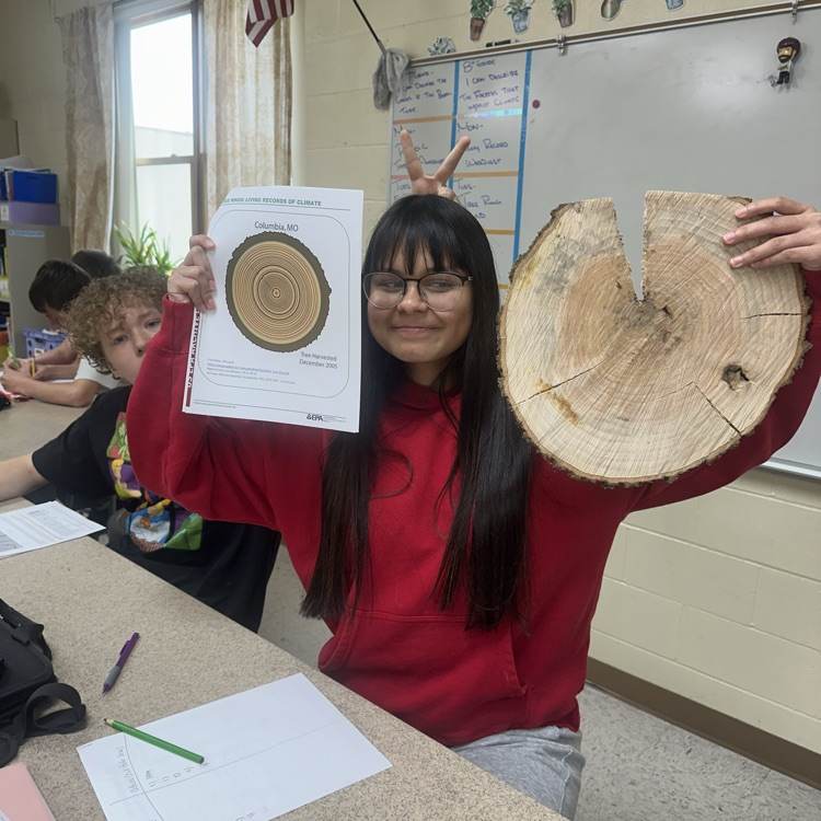 tree cookie analysis