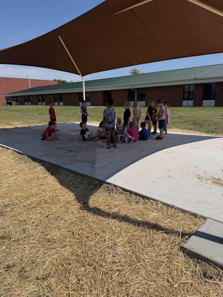 Shade Structure