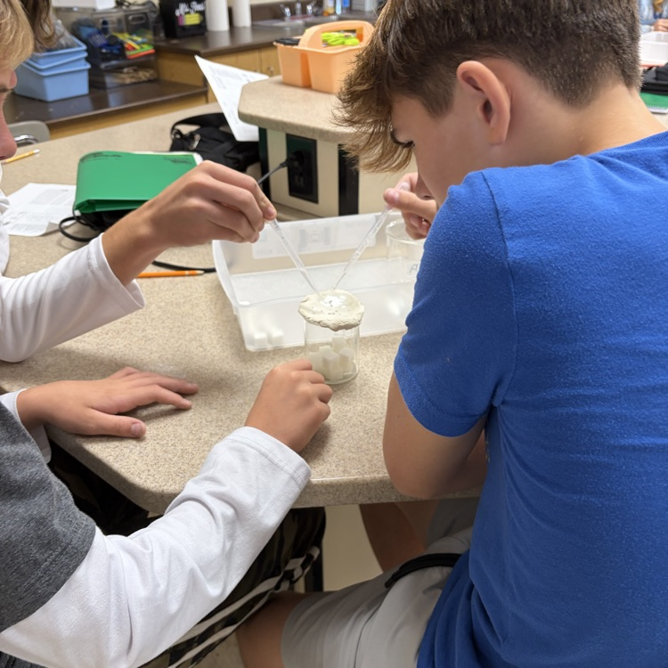students conducting making a cave lab