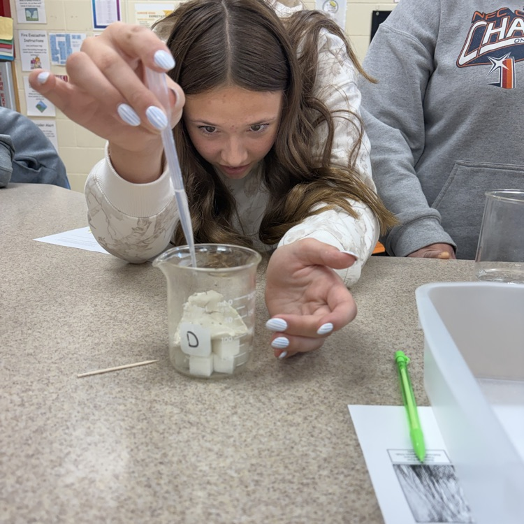 students conducting making a cave lab