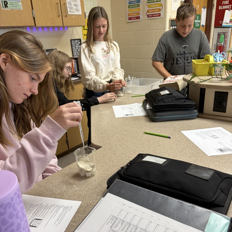 students conducting making a cave lab