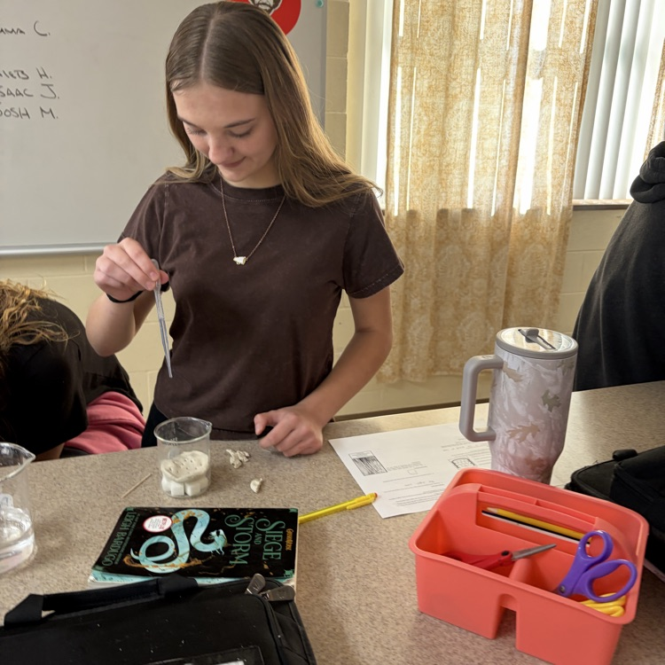 students conducting making a cave lab