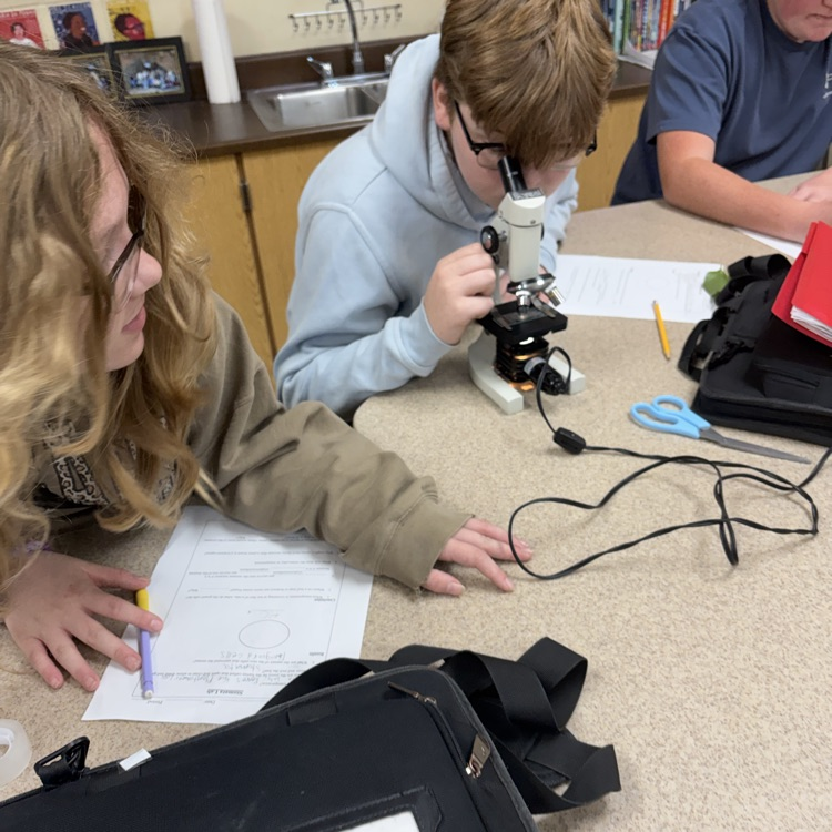 students using microscopes during a he stomata lab