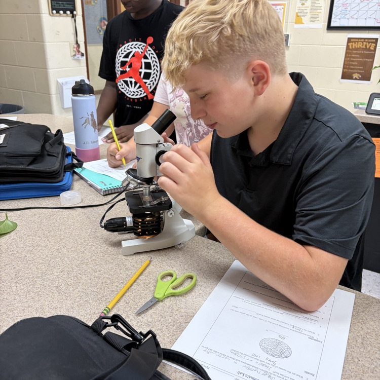 students using microscopes during a he stomata lab