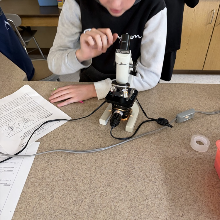 students using microscopes during a he stomata lab