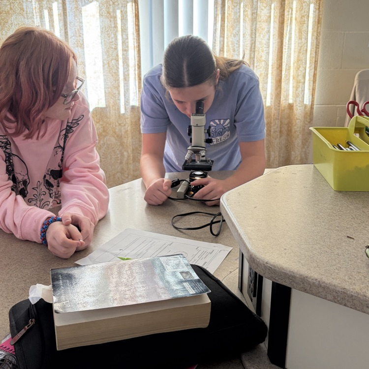 students using microscopes during a he stomata lab