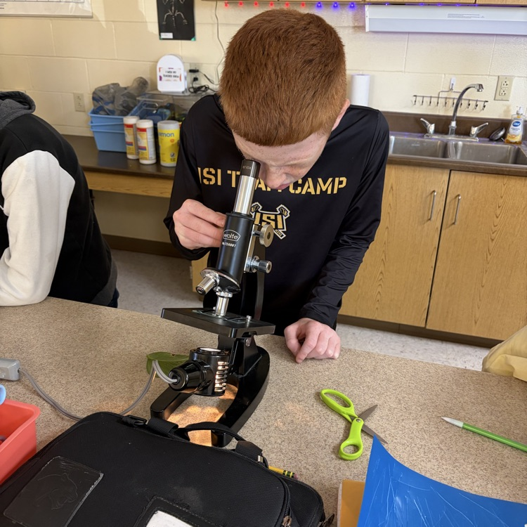 students using microscopes during a he stomata lab