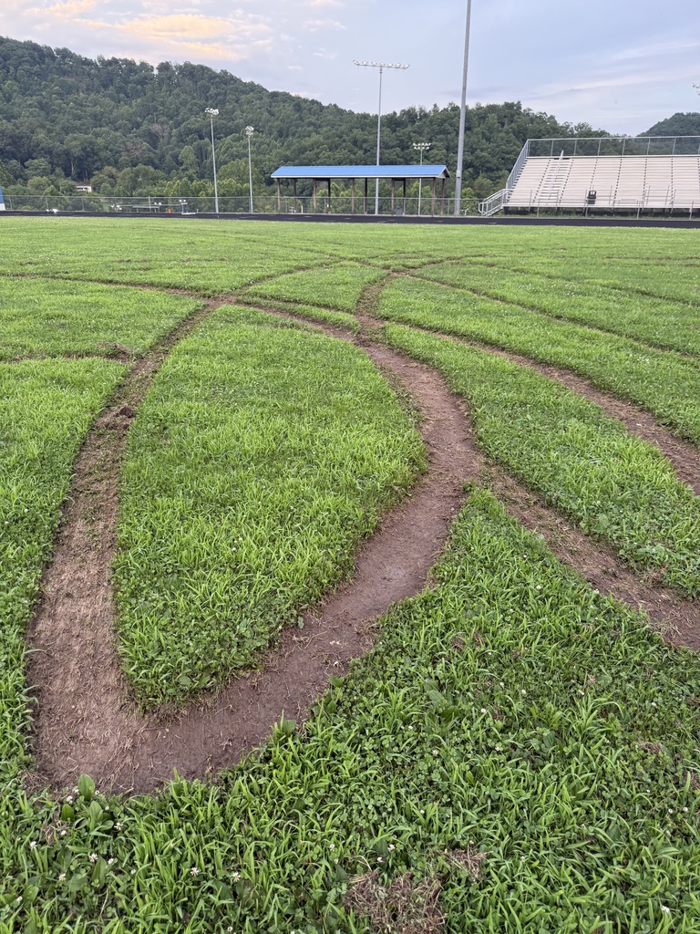 Property damage at LCHS