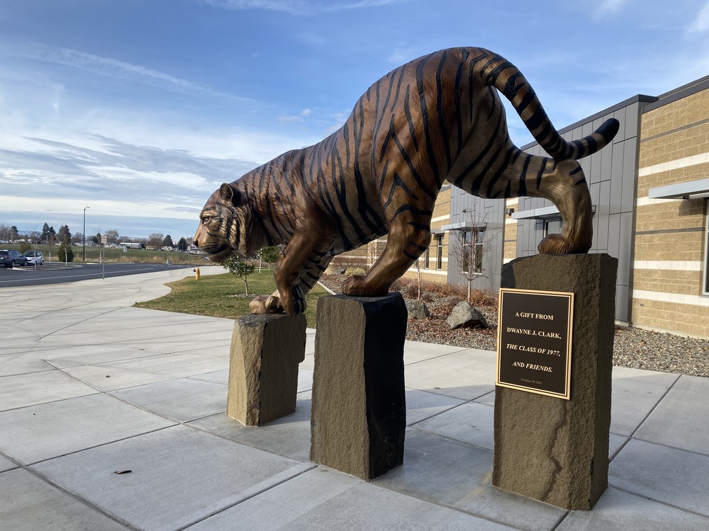 LHS Bengal Pride bronze by Shayne Watkins