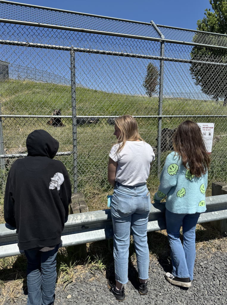 middle school students at WSU