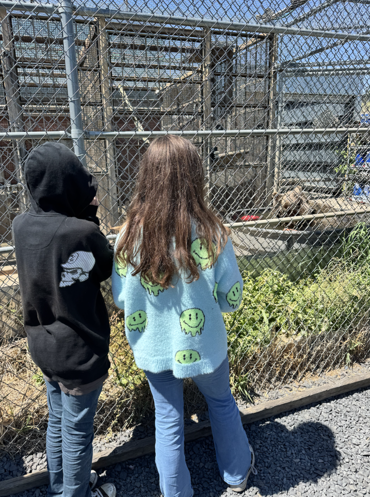 middle school students at WSU