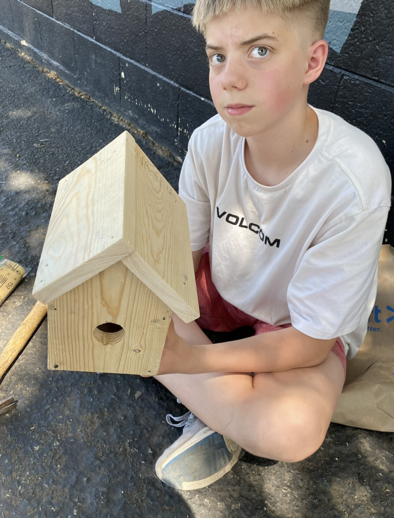 students building bird houses
