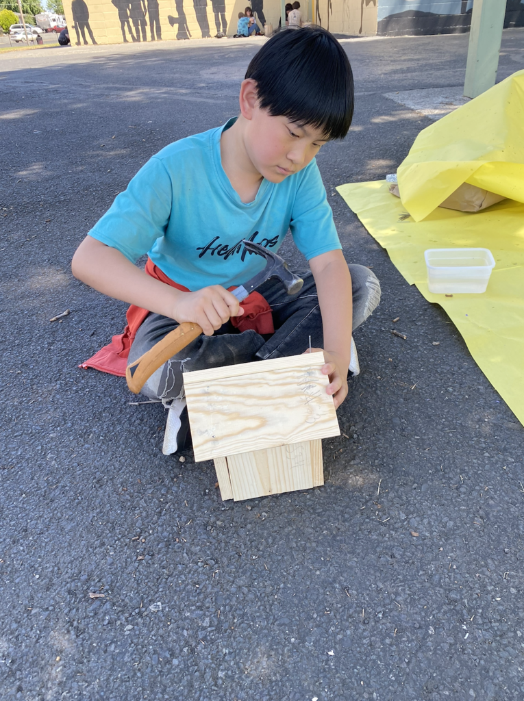 students building bird houses