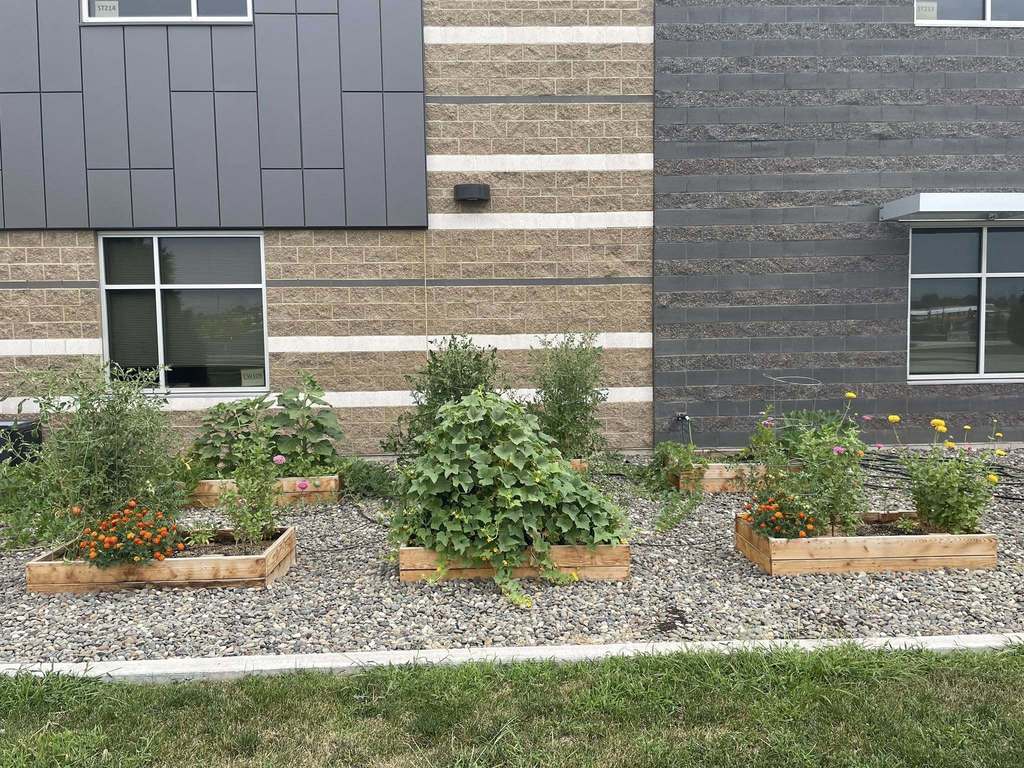 garden club boxes