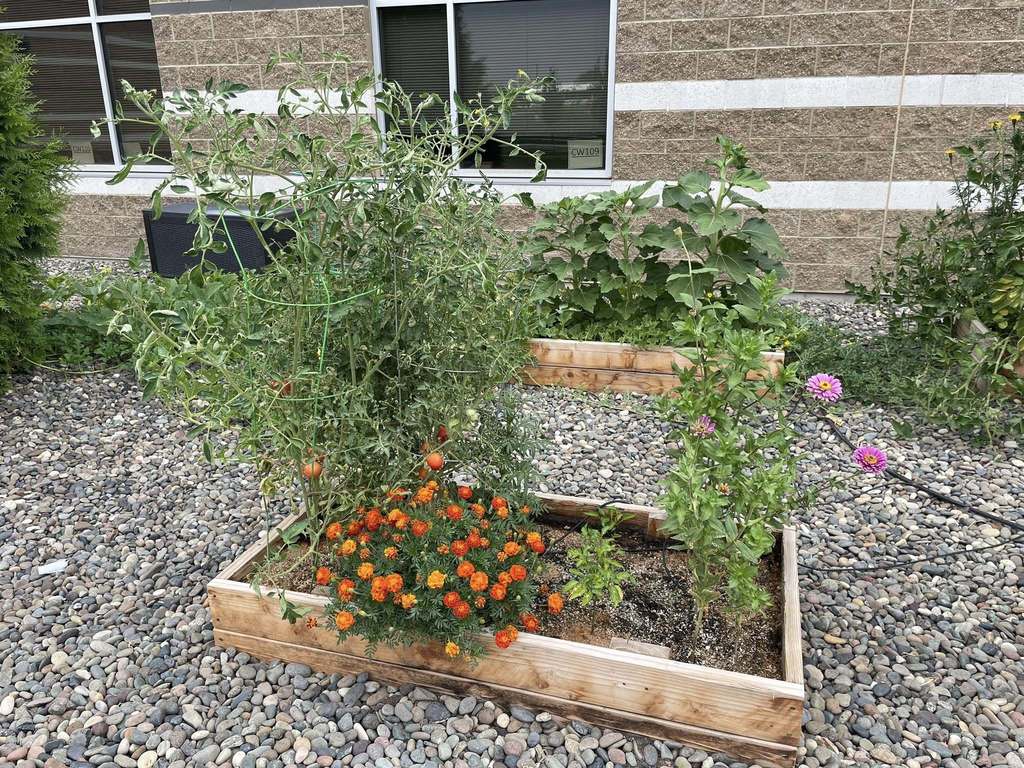 garden club boxes