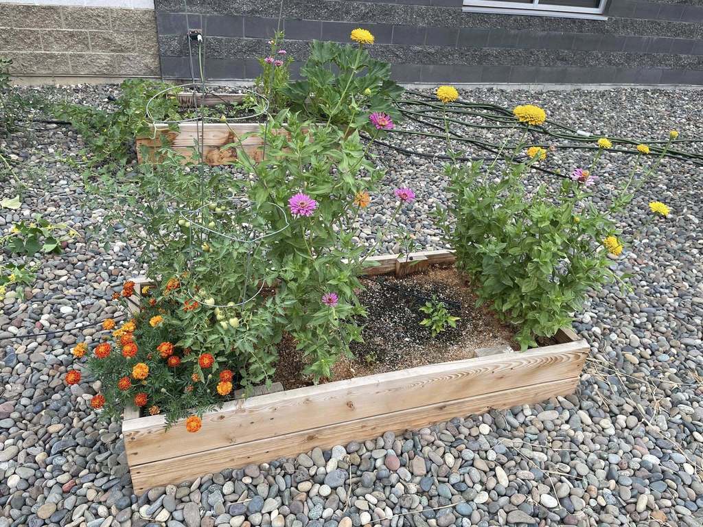 garden club boxes