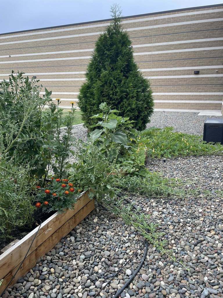 garden club boxes