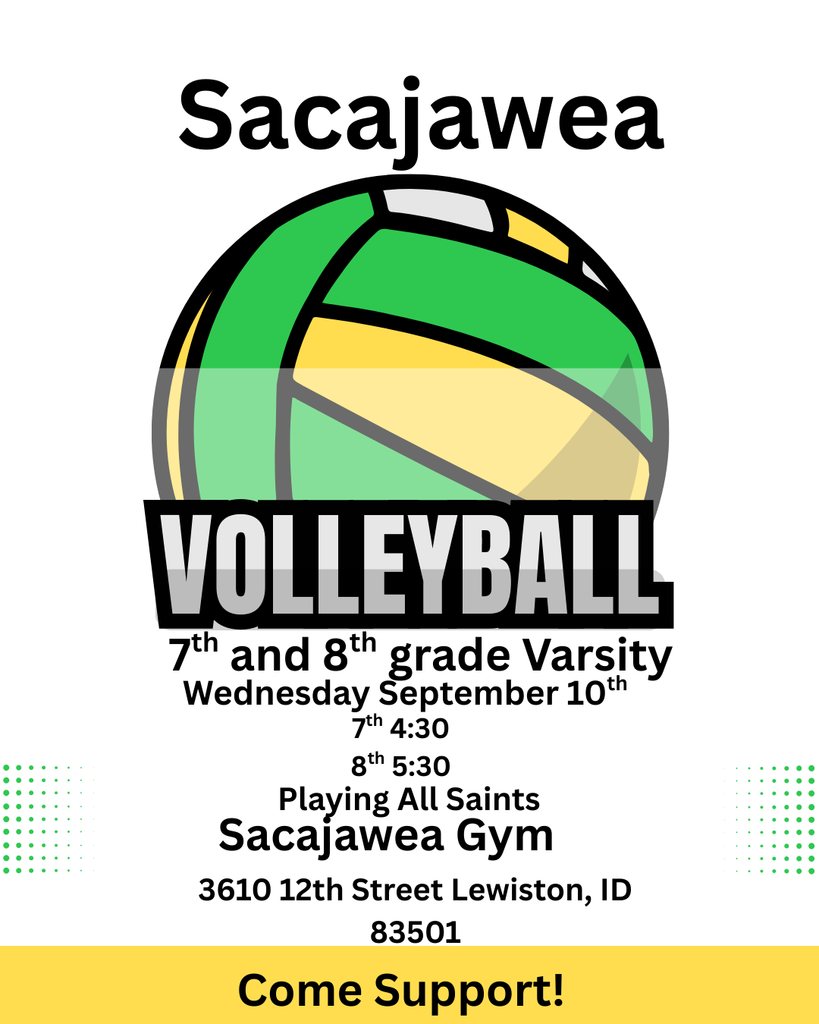 flyer about volleyball game