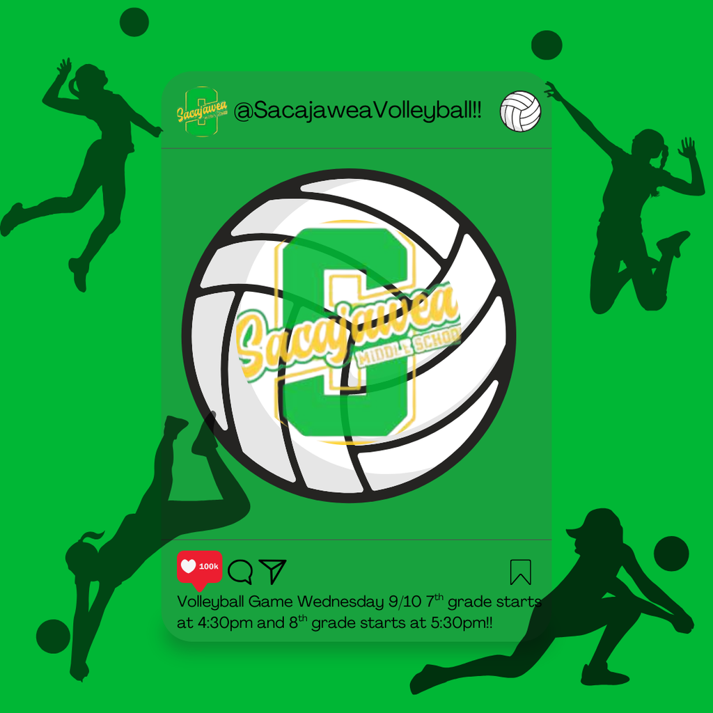 flyer about volleyball game