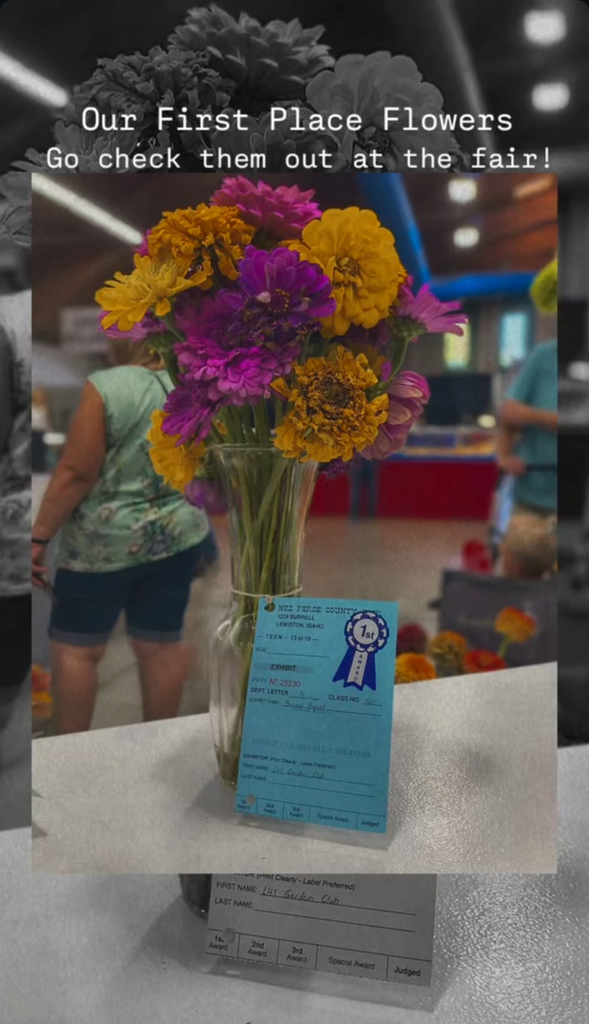 bouquet flowers