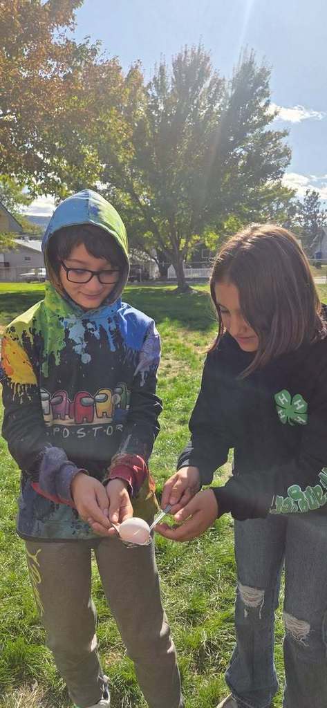 students passing an egg with spoons